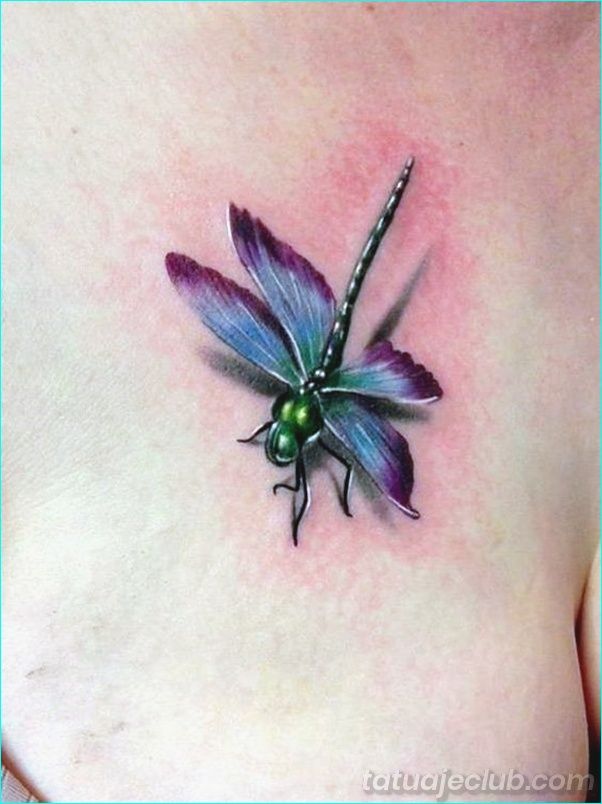 45 diseños lindos del tatuaje de la libélula para las mujeres libélula. tatuaje de libélula