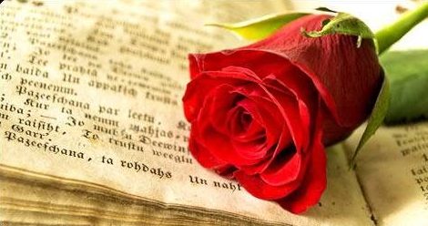 La tradición del día de Sant Jordi venta de rosas y libros